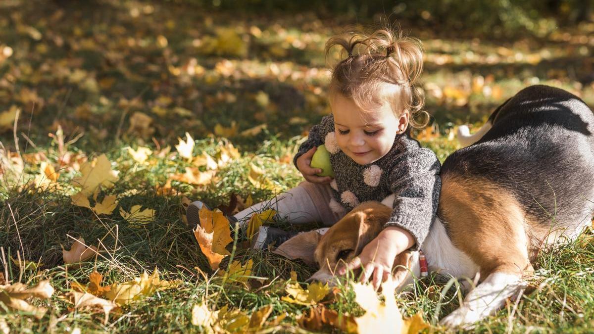 Little girl plays with her dog in the park